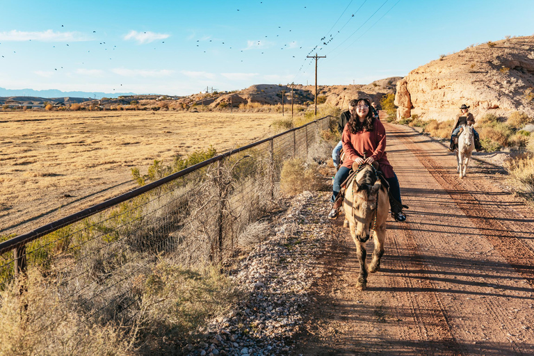 Cena barbacoa y paseo a caballo por el Salvaje Oeste