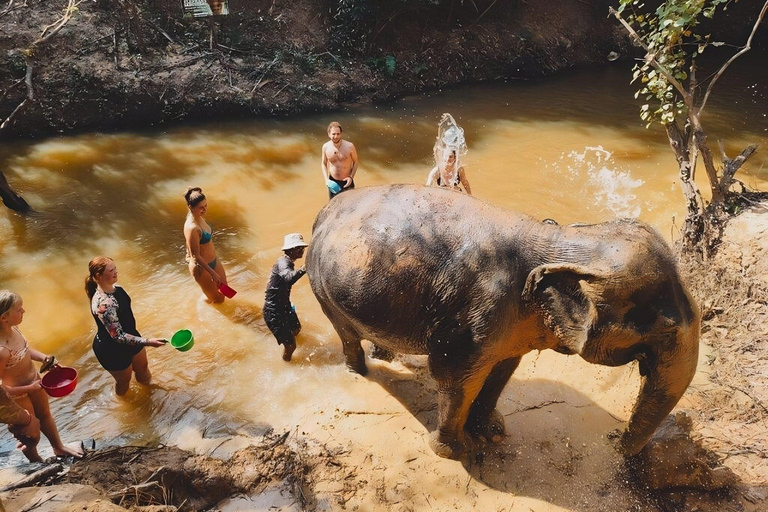 Siem Reap: Elephant Sanctuary Included Hotel Pickup Drop-off