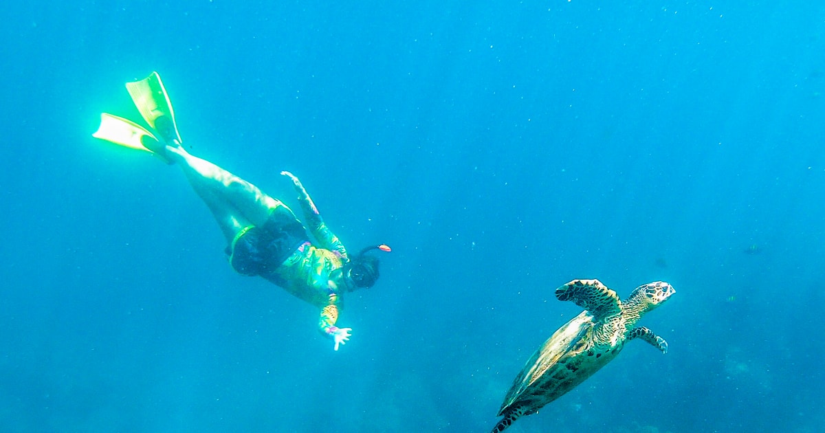 Caño Island Snorkeling GetYourGuide