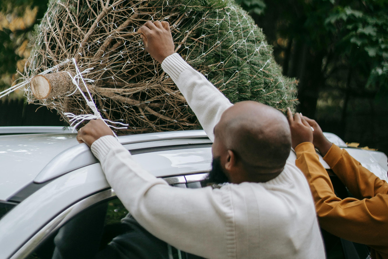 Las Vegas: l&#039;avventura di tagliare il tuo albero di NataleLas Vegas: diga di Hoover, città fantasma del West e cliff jumping