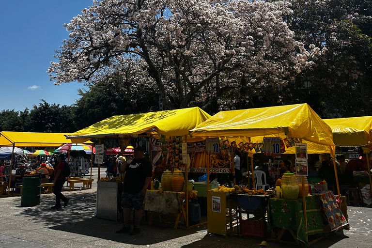 Authentic Guatemala City: Guided with a local Tour Guide