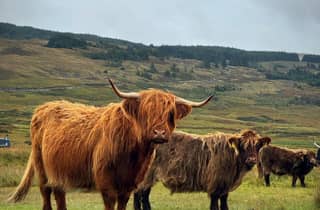 Von Edinburgh: Tagesausflug zu den Kelpies, Glencoe und Loch Lomond