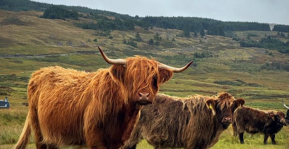From Edinburgh: The Kelpies, Glencoe & Loch Lomond Day Tour