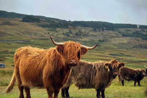 Edinburgh: Glencoe, Glenfinnan &amp; Skotska högländerna Dagstur