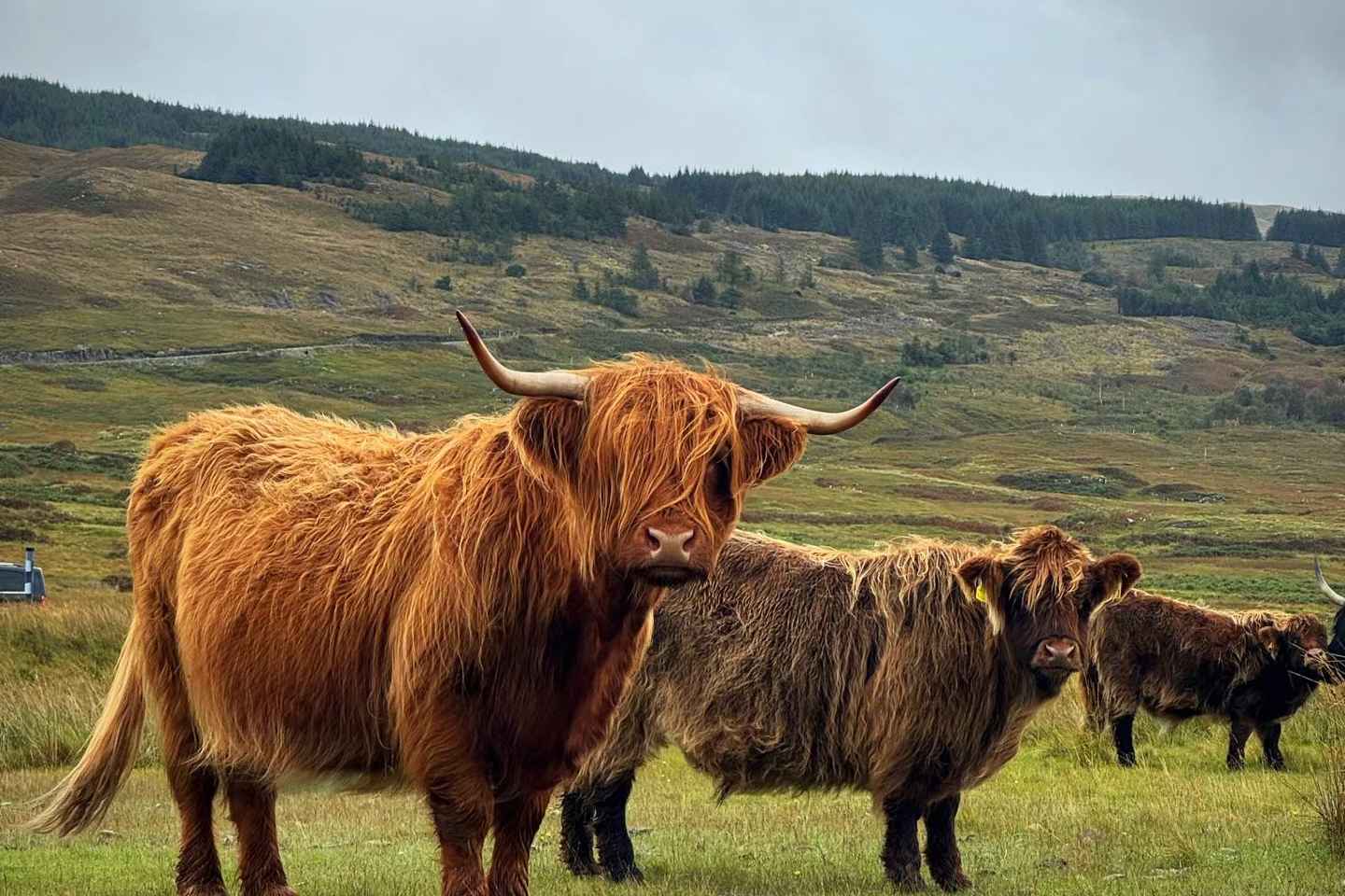 From Edinburgh: The Kelpies, Glencoe & Loch Lomond Day Tour