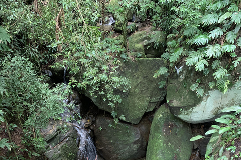 Tour delle cascate e delle grotte del Parco Nazionale di Tijuca