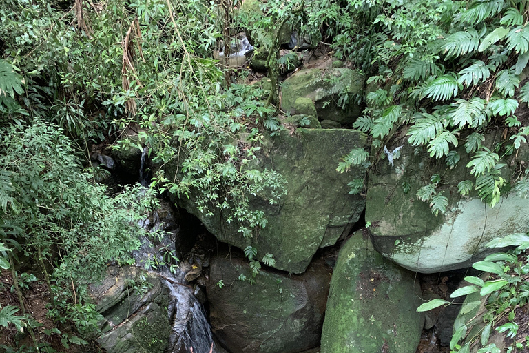 Tour delle cascate e delle grotte del Parco Nazionale di Tijuca