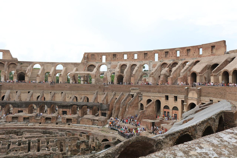 Rom: Colosseum Colosseum, Forum Romanum, Palatinkullen Guidad tur