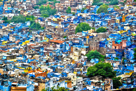 Jodhpur: Blue City Full-Day Tour with Guided Heritage WalkTour by Tuk-Tuk with Guide