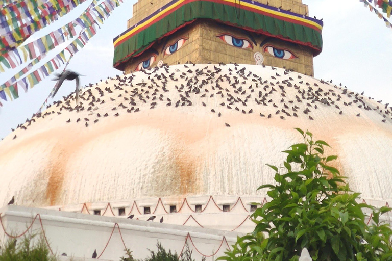 Kathmandu: City Highlights Bus Tour Full Day