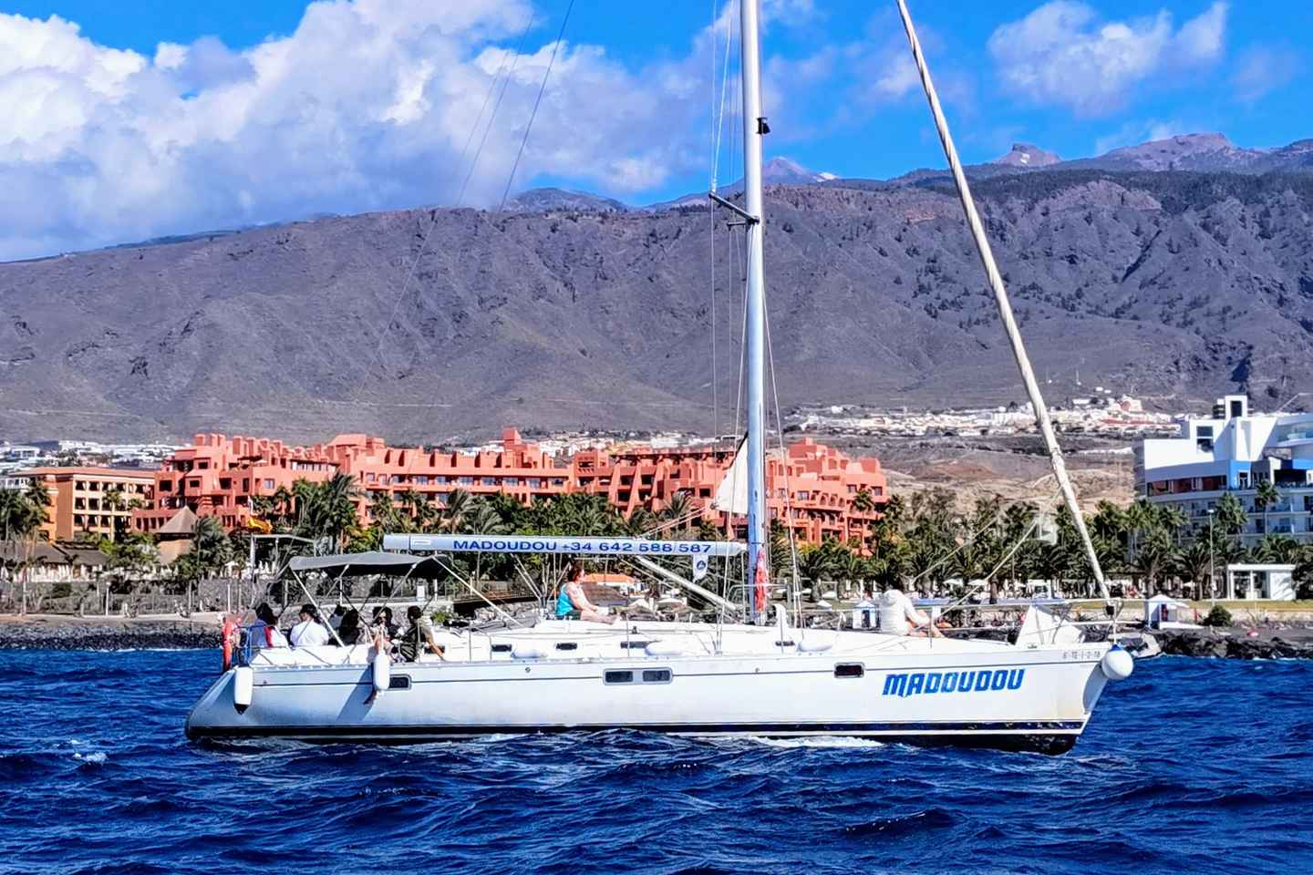 Costa Adeje Private Whale-Watching Tour (max. 11 people)