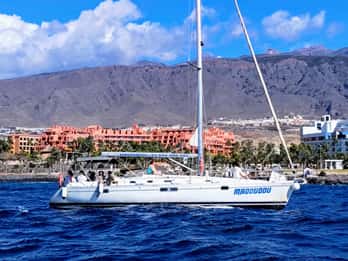 3h Whale Watching Tour privado Beneteau Oceanis 440