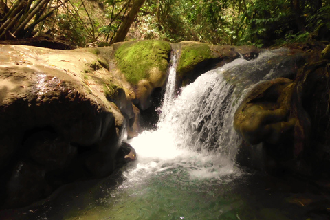 Passeggiata lungo il fiume di Mayfield Falls con trasporto privatoDa Negril