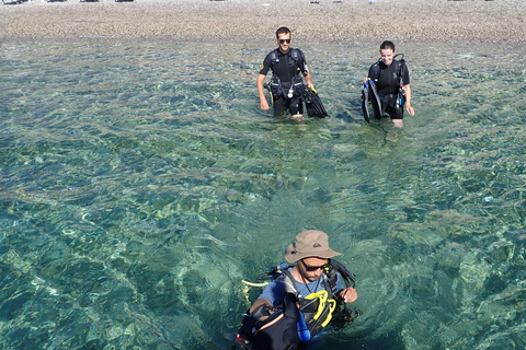 Rhodes Charaki: Try Dive for Beginners - 1 hour Rhodes: Try Dive for Beginners - 1 hour Charaki house reef