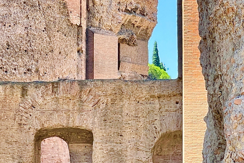 Terme di Caracalla Tour guidato privato e biglietti esclusiviRoma: tour privato delle Terme di Caracalla