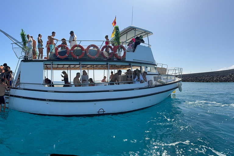 Costa Calma: Fuerteventura Dolphin Watching Boat Tour