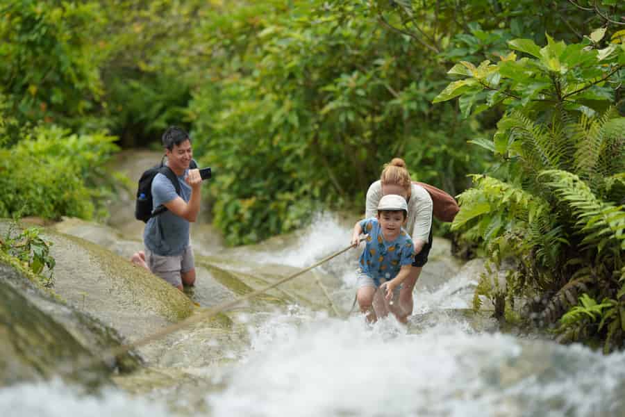 Chiang Mai: Bua Thong Klebriger Wasserfall und riesige Höhle Tour. Foto: GetYourGuide