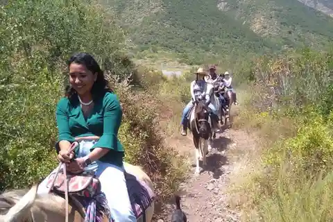 Ensenada: Senderos Ocultos de Baja California: Paseo a Caballo con Vista al Mar