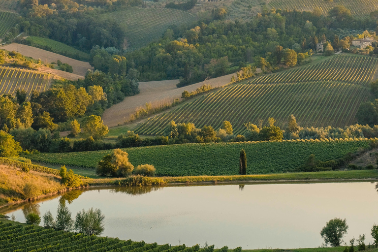 Desde Florencia: Pisa, San Gimignano y Siena Tour privado