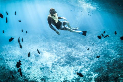 North Santa Cruz - Kayak, SUP, Snorkel and Relax - Galápagos Galapagos Islands: Punta Carrion Kayak - Sup & Snorkel Tour