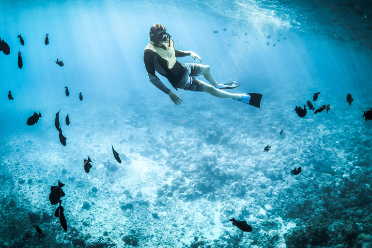 North Santa Cruz - Kayak, SUP, Snorkel and Relax - Galápagos Galapagos Islands: Punta Carrion Kayak - Sup & Snorkel Tour