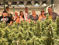 Denver, Cannabis -Tour mit Zugang zum Anbetrieb der Einrichtung - Housity