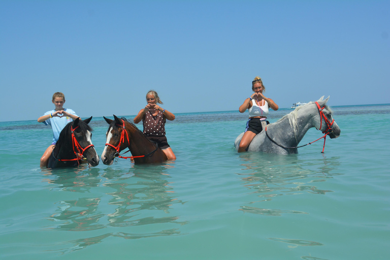 Hurghada: Swimming & Horse riding with FREE Photos & Videos 2-Hour Horse Swimming & Photos with Transfer