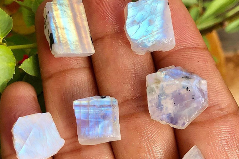 Bentota: Galle Fort, Turtle Hatchery, & Moonstone Mine Tour