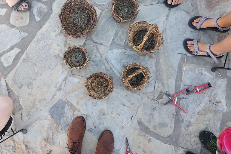 Traditional Basketry Workshop