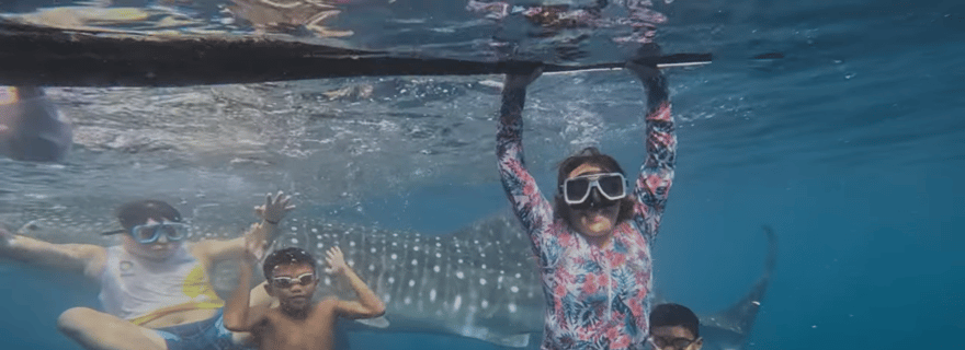 Oslob : Requins-baleines, chutes de Tumalog et aventure Sumilon Trio