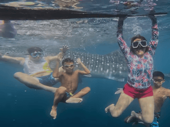 Oslob: Whale Sharks, Tumalog Falls & Sumilon Trio Adventure
