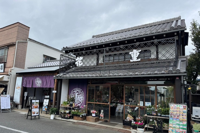 Excursión a Yanaka y Sendagi: Descubre el encanto del casco antiguo de Tokio