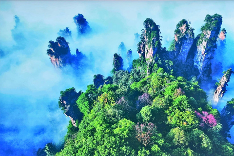 Zhangjiajie Private Day Tour: Rice Terraces,Elevator &Avatar Opt C: Private Transfer and Tour Guide – Downtown