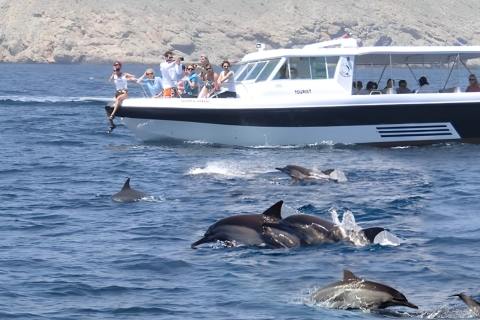 Delfinbeobachtung und Schnorchelausflug in Muscat