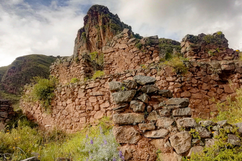 EXPERIENTIAL TOURISM AND FULL DAY MEDICINAL PLANTS CLASSES