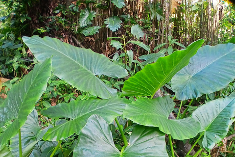 Lethe Mountain Valley Hiking