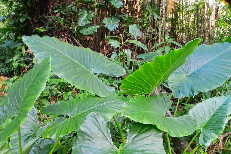 Lethe Mountain Valley Hiking