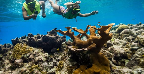 Catamaran Party Cruise and Snorkeling from Montego Bay