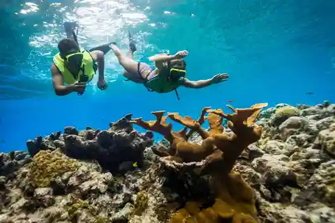Cruzeiro em catamarã e mergulho com snorkel a partir de Montego Bay