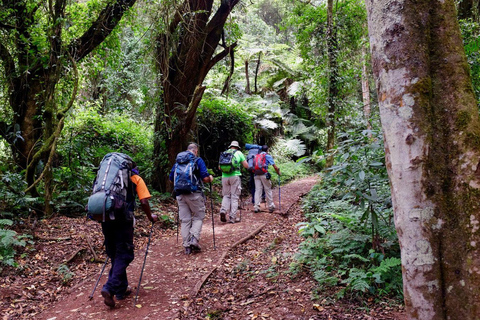 Mount Kilimanjaro een dagwandeling naar het basiskamp voor een kleine groep