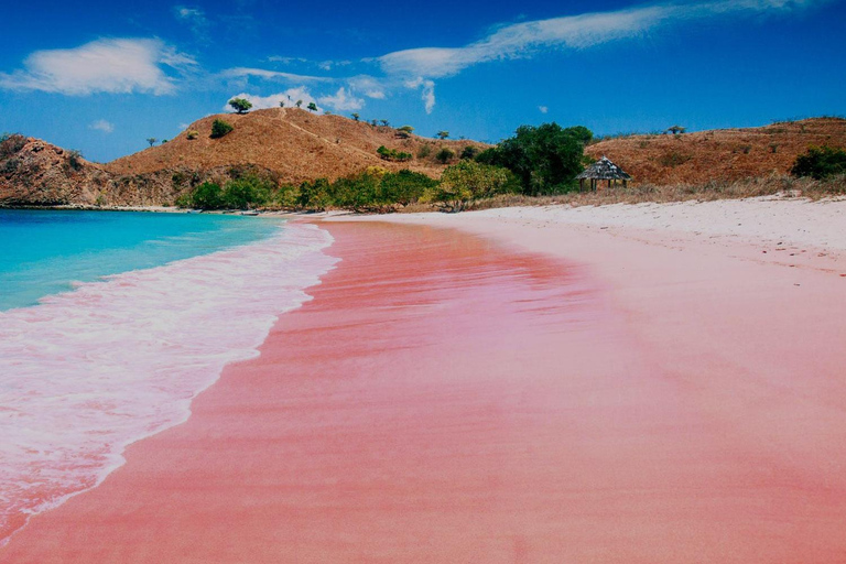 Bali: Komodo eiland dagtrip met vlucht vanuit Bali