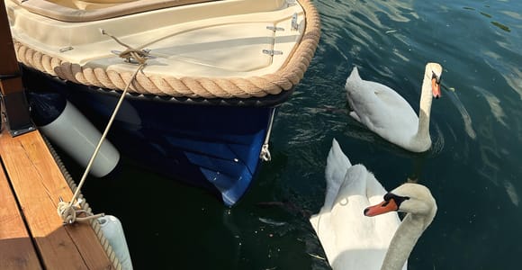 Vermietung von Elektrobooten ohne Lizenz