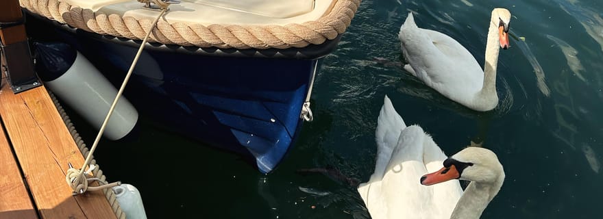 Location de bateaux électriques sans permis