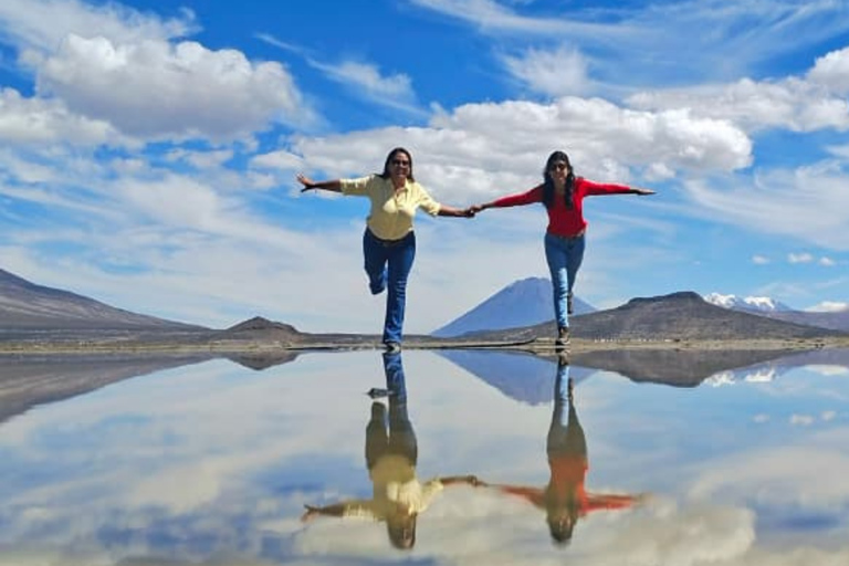 Arequipa: Salinas Lagoon, Flamingos, Vicuñas & ATV Adventure