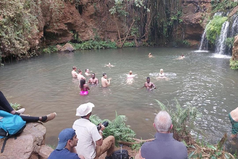 Nairobi: Caminhada pela Floresta Ngare Ndare e Canopy WalkNairobi: Caminhada pela Floresta Ngare Ndare e Passeio pela Copas das Árvores