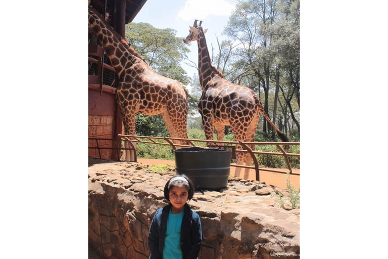 Giraffe Centre and Bomas of Kenya Tour