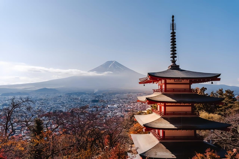 Mount Fuji Full-Day Private Tour from Tokyo (Customizable) Luxury Toyota Crown or SAI