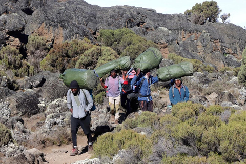 Kilimanjaro Nationaal Park - 8-daagse Lemosho Route