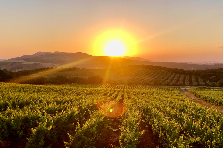 Au départ de Cadix : excursion privée premium d&#039;une journée à Ronda avec dégustation de vinsGROUPE JUSQU&#039;À 6 PERSONNES
