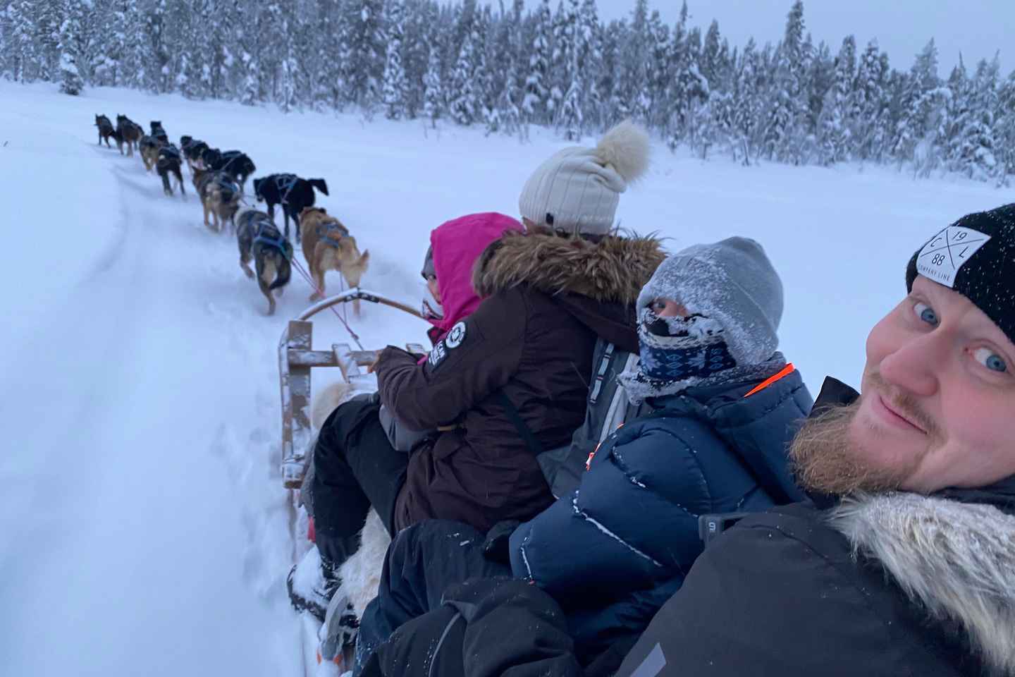 Kiruna: Sit Back and Relax Morning Dogsledding Tour